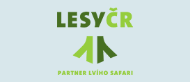 Logo LesyR